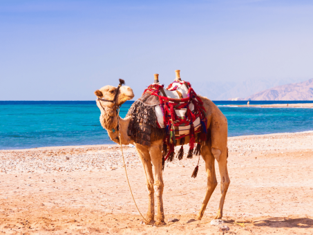 egipt-wakacje-caly-rok