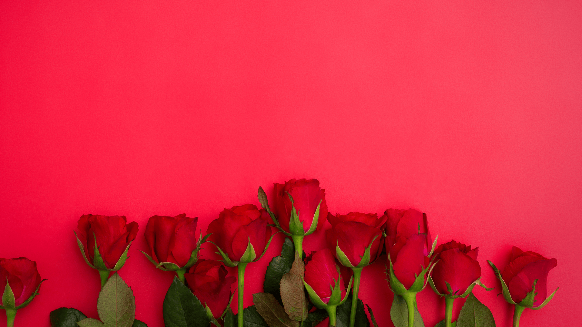 <span style="color:#1D2C50;">TYDZIEŃ WALENTYNKOWY