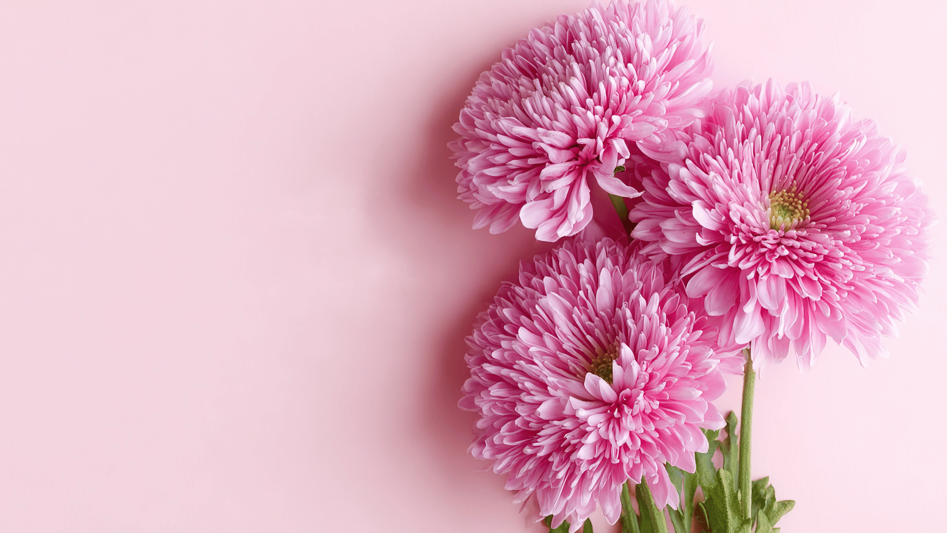 <span style="color:#1D2C50;">Dzień Kobiet</span>